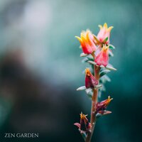Reality - Jennifer Calm