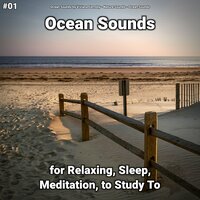 Ocean Sounds Part 85 - Ocean Sounds by Viviana Fernsby & Nature Sounds & Ocean Sounds