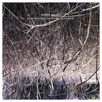 Winter Garden - Harold Budd & Robin Guthrie & Eraldo Bernocchi