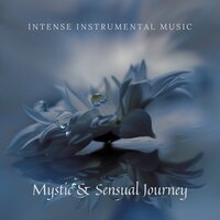 Mental Stability - Zen Spa Music Experts