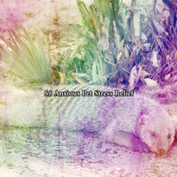 Fantasy Of Sleep - Serenity Spa Music Relaxation