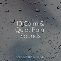 River, Close, Birds, Forest - 125 Nature Sounds & Meditation & Rain Sounds ACE