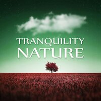 Zen Garden - Beautiful Nature Music Paradise