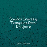 Estado De Calma - Mantra para Meditar & Música a Relajarse & Piano Suave Relajante