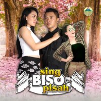 Belo Pati - Vita Alvia & Fery