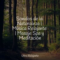 Ráfaga De Primavera - Canciones de Cuna Relax & Ruido Blanco Para Bebes & Relaxamento Sons da Natureza Ruído Branco Musicas Clube