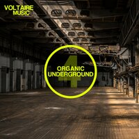 Untitled 1 - Giacomo Greppi & Ocu