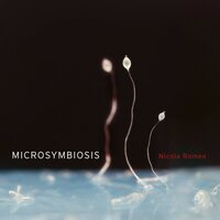 Dictyostelium - Nicola Romeo
