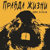 Днище - Вова Beaver