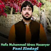 Waye Taranom Ki Shkole Nom Da Hashami - Hafiz Muhammad Idrees Hasanyar