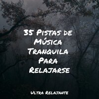 Estás Bien - Relajante Academia de Música Zen & Saludo al Sol Sonido Relajante & Relajar