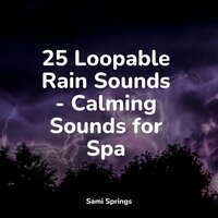 Moderate Rain - Rain Sounds Factory STHLM & Meditation Relaxation Club & Nature Chillout