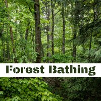 Blissful Feeling - Sauna Spa Paradise