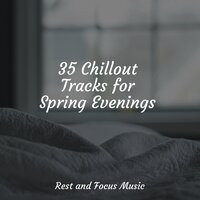 Peaceful Savannah Stroll - Native American Flute & Guided Meditation Music Zone & Chakra Balancing Sound Therapy