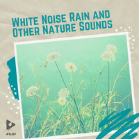 Traveling Through Nature - #Sleep & Sleep Sounds Of Nature