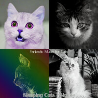 Music (Sounds) - Fantastic Music for Cats