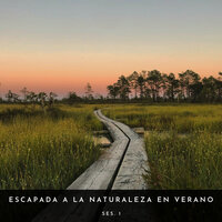 Máquina De Hacer Ruido Blanco - Sonidos De La Selva & Academia de Música con Sonidos de la Naturaleza & Musica relajante con sonidos de la naturaleza