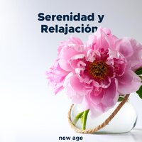 Disfrutar el Silencio - Relaxing Piano Music