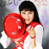 Ese Chico Me Gusta - Wilma Contreras