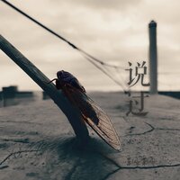 说过 - 飘飘
