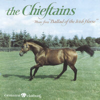 Horses Of Ireland - Part 2 - The Chieftains