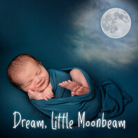 Dreamy Delta Wave Tremolo - Sleeping Little Lions