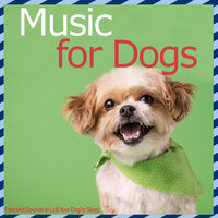 Sunsets - Relax My Dog & Dog Music Dreams & RelaxMyDog
