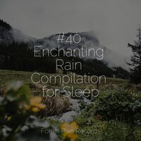 Bonfire in the Forest - Sleep Songs with Nature Sounds & White Noise Sleep Sounds & Mother Earth Sounds