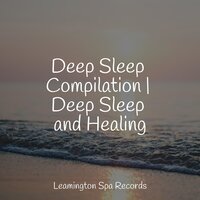 Peace & Tranquility - Kinderlieder-Superstar & Spa Music Collective & Nature Sounds Collection
