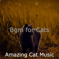Piano Jazz Soundtrack for Resting Cats - Amazing Cat Music