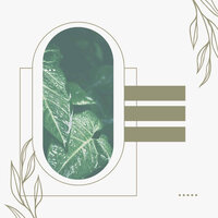 Warm Moods for Rejuvenating Seasons - Office Background Music Playlists