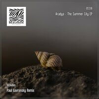 The Summer City - Aradya