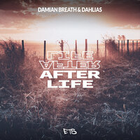 After Life - Damian Breath & Dahlias
