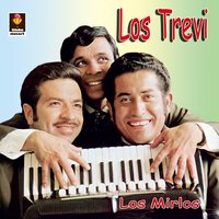 Los Mirlos - Los Trevi