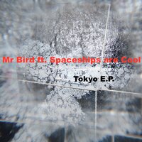 Walk the road - Mr Bird & Spaceships Are Cool