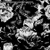 Rotate - Paolo Madzone Zampetti