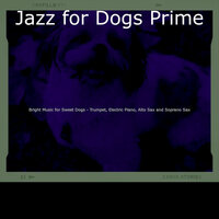 Incredible Ambience for Dog Walking - Jazz for Dogs Prime
