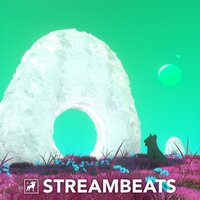 Remembering Tani - StreamBeats by Harris Heller