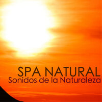 Arpa y Viento - Sonidos de la Naturaleza Star