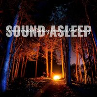 Calming Fireplace Crackling Sounds in a Forest Clearing, Pt. 8 - Elijah Wagner