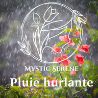 Un matin pluvieux - Mystic Serene