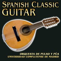 La boda de Luís Alonso - Orquesta de Pulso y Púa de la Universidad Complutense de Madrid