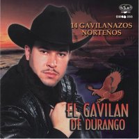 Mi Unico Camino - El Gavilan de Durango