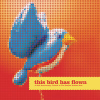 What Goes On - Sufjan Stevens