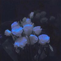 云雾吹散心动 - 颜云飞
