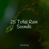 Ocean, Jetty, Small, Light Metal - A Sudden Rainstorm & Nature Sounds & White Noise for Babies