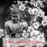 Chakra Healing Music - Ahanu Om Chant