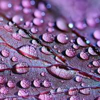 Strong Rains Outside - Sound Healing Center & Tranquil Music Sounds of Nature & Tailormade Ocean Waves
