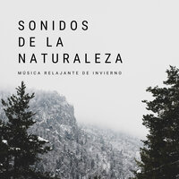 Arroyo Atrapado En El Hielo - Musica relajante & Sonidos de la Naturaleza para Dormir & Flor de Loto