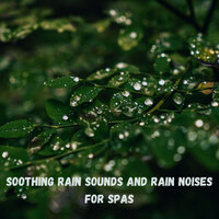 Soothing Sounds - Nature Sounds & Rain Sounds & Spa Music Relaxation